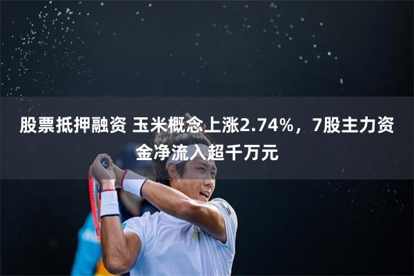 股票抵押融资 玉米概念上涨2.74%，7股主力资金净流入超千万元