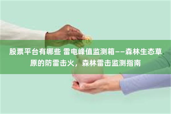 股票平台有哪些 雷电峰值监测箱——森林生态草原的防雷击火，森林雷击监测指南
