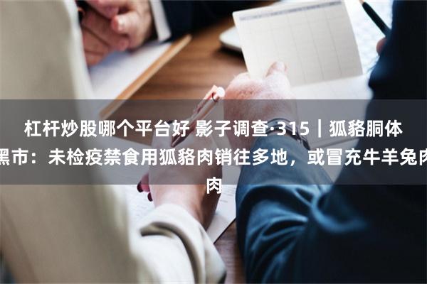 杠杆炒股哪个平台好 影子调查·315｜狐貉胴体黑市：未检疫禁食用狐貉肉销往多地，或冒充牛羊兔肉