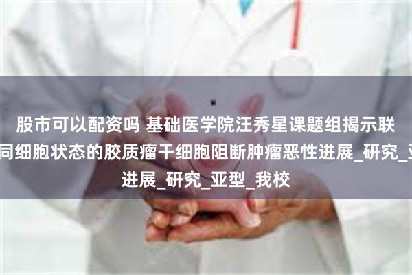 股市可以配资吗 基础医学院汪秀星课题组揭示联合靶向不同细胞状态的胶质瘤干细胞阻断肿瘤恶性进展_研究_亚型_我校