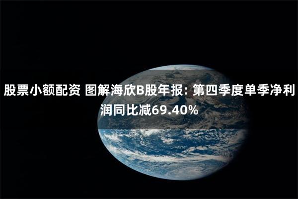 股票小额配资 图解海欣B股年报: 第四季度单季净利润同比减69.40%