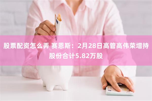 股票配资怎么弄 赛恩斯：2月28日高管高伟荣增持股份合计5.82万股