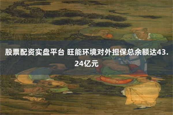 股票配资实盘平台 旺能环境对外担保总余额达43.24亿元