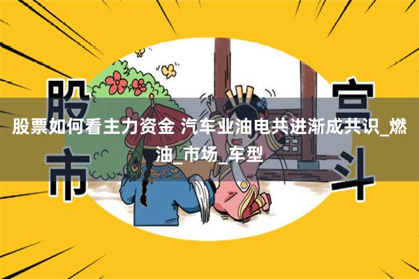 股票如何看主力资金 汽车业油电共进渐成共识_燃油_市场_车型