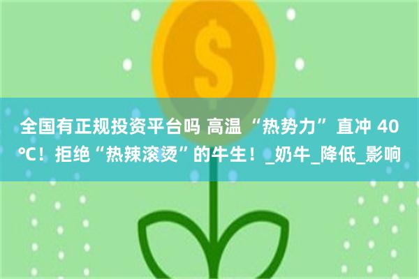 全国有正规投资平台吗 高温 “热势力” 直冲 40℃！拒绝“热辣滚烫”的牛生！_奶牛_降低_影响