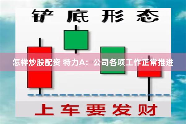 怎样炒股配资 特力A：公司各项工作正常推进