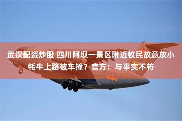 武汉配资炒股 四川阿坝一景区附近牧民故意放小牦牛上路被车撞？官方：与事实不符