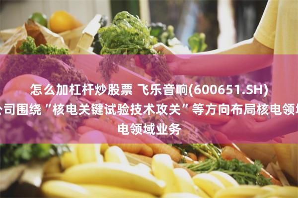 怎么加杠杆炒股票 飞乐音响(600651.SH)：子公司围绕“核电关键试验技术攻关”等方向布局核电领域业务