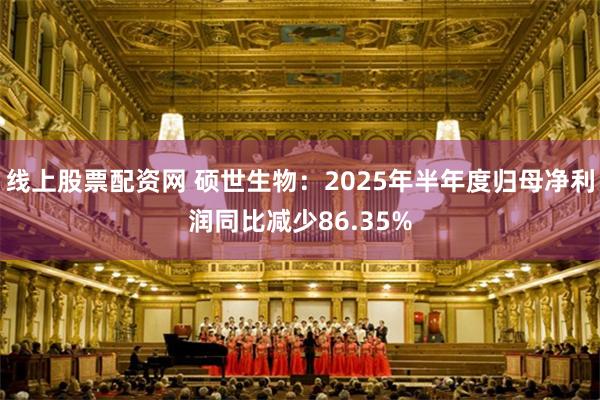 线上股票配资网 硕世生物：2025年半年度归母净利润同比减少86.35%