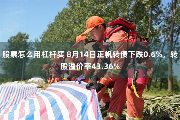 股票怎么用杠杆买 8月14日正帆转债下跌0.6%，转股溢价率43.36%