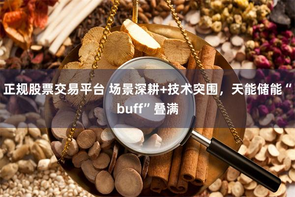 正规股票交易平台 场景深耕+技术突围，天能储能“buff”叠满