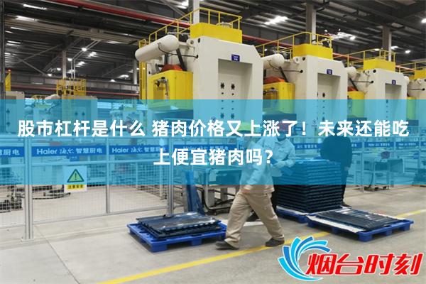 股市杠杆是什么 猪肉价格又上涨了！未来还能吃上便宜猪肉吗？