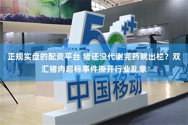 正规实盘的配资平台 猪还没代谢完药就出栏？双汇猪肉超标事件撕开行业乱象