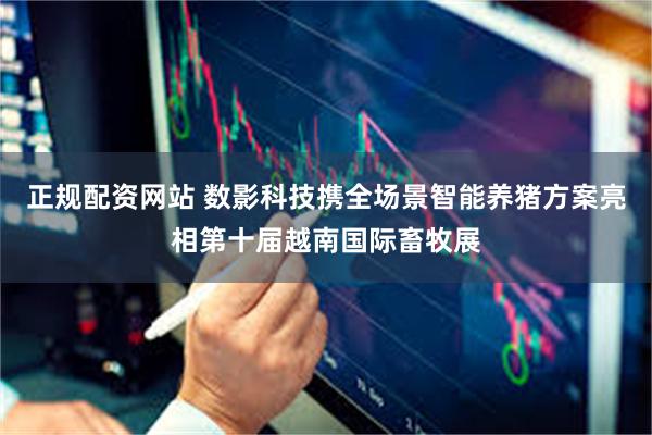 正规配资网站 数影科技携全场景智能养猪方案亮相第十届越南国际畜牧展