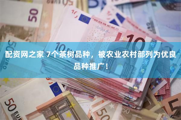 配资网之家 7个茶树品种，被农业农村部列为优良品种推广！