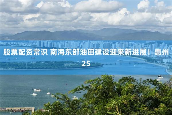 股票配资常识 南海东部油田建设迎来新进展！惠州25
