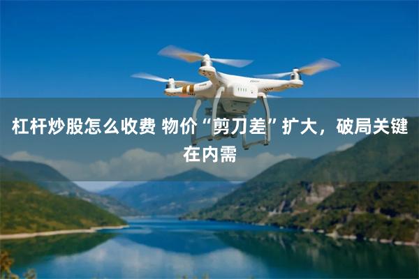 杠杆炒股怎么收费 物价“剪刀差”扩大，破局关键在内需