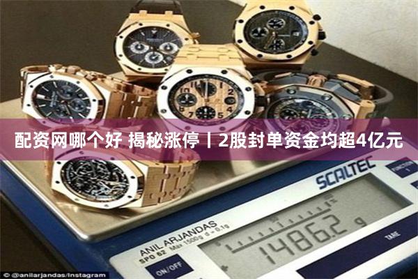 配资网哪个好 揭秘涨停丨2股封单资金均超4亿元