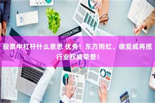 股票中杠杆什么意思 优秀！东方雨虹、德爱威再揽行业权威荣誉！