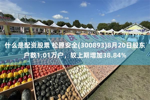 什么是配资股票 松原安全(300893)8月20日股东户数1.01万户，较上期增加38.84%
