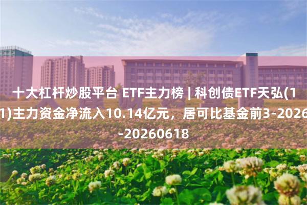 十大杠杆炒股平台 ETF主力榜 | 科创债ETF天弘(159111)主力资金净流入10.14亿元，居可比基金前3-20260618