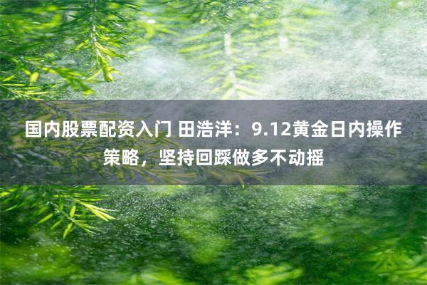 国内股票配资入门 田浩洋：9.12黄金日内操作策略，坚持回踩做多不动摇
