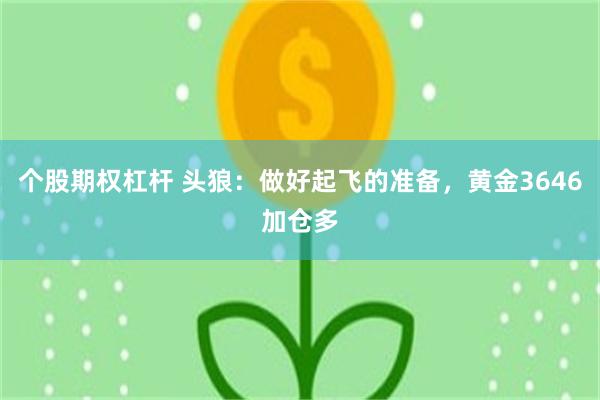 个股期权杠杆 头狼：做好起飞的准备，黄金3646加仓多