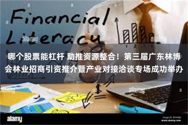哪个股票能杠杆 助推资源整合！第三届广东林博会林业招商引资推介暨产业对接洽谈专场成功举办