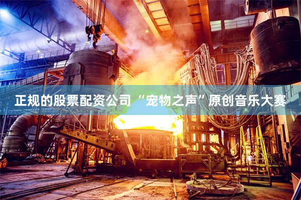 正规的股票配资公司 “宠物之声”原创音乐大赛