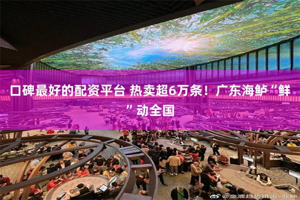 口碑最好的配资平台 热卖超6万条！广东海鲈“鲜”动全国