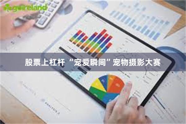 股票上杠杆 “宠爱瞬间”宠物摄影大赛