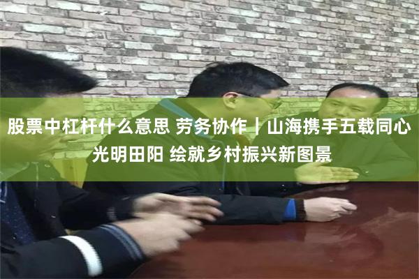 股票中杠杆什么意思 劳务协作｜山海携手五载同心 光明田阳 绘就乡村振兴新图景