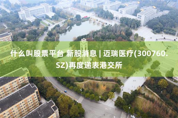 什么叫股票平台 新股消息 | 迈瑞医疗(300760.SZ)再度递表港交所