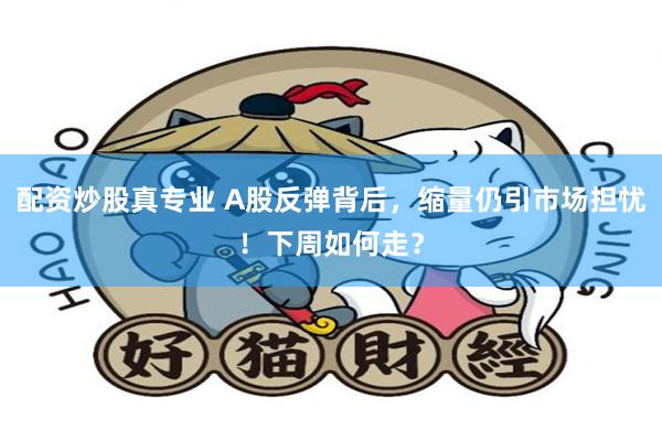 配资炒股真专业 A股反弹背后,缩量仍引市场担忧!下周如何走?