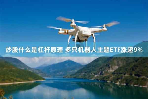 炒股什么是杠杆原理 多只机器人主题ETF涨超9%