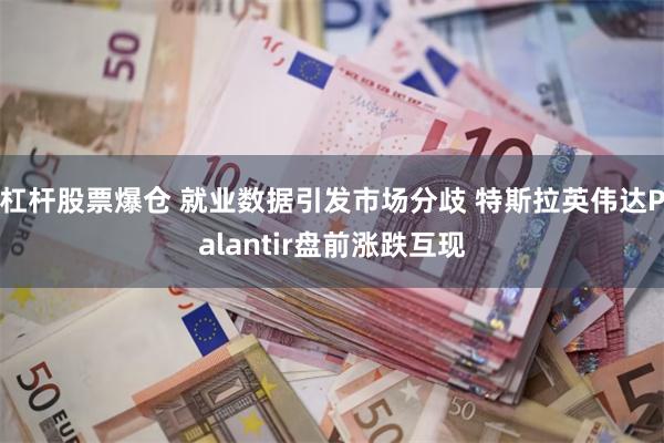 杠杆股票爆仓 就业数据引发市场分歧 特斯拉英伟达Palantir盘前涨跌互现