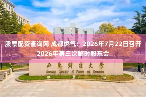 股票配资查询网 成都燃气：2026年7月22日召开2026年第三次临时股东会