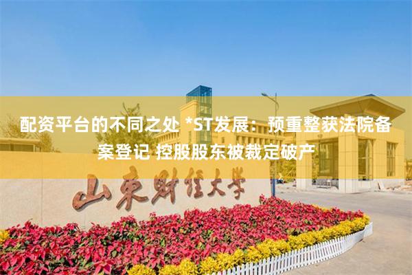 配资平台的不同之处 *ST发展:预重整获法院备案登记 控股股东被裁定破产