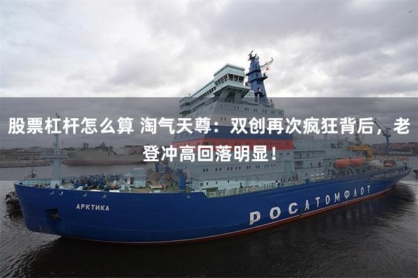 股票杠杆怎么算 淘气天尊：双创再次疯狂背后，老登冲高回落明显！