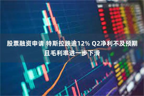 股票融资申请 特斯拉跌逾12% Q2净利不及预期且毛利率进一步下滑