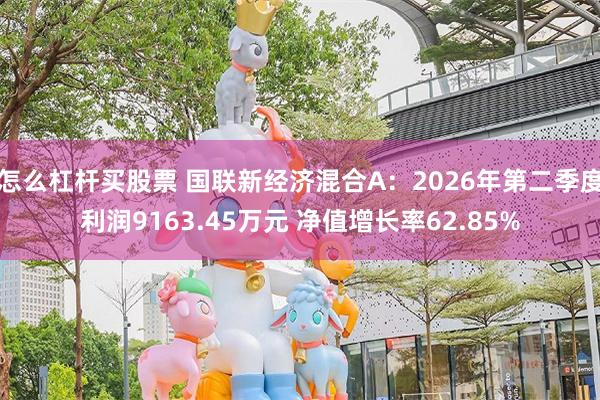 怎么杠杆买股票 国联新经济混合A：2026年第二季度利润9163.45万元 净值增长率62.85%