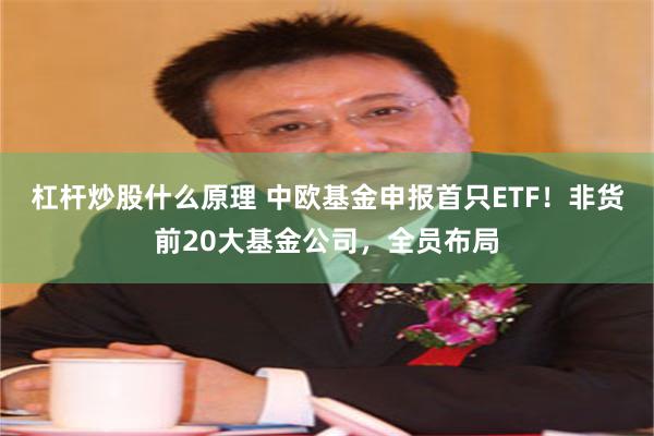 杠杆炒股什么原理 中欧基金申报首只ETF！非货前20大基金公司，全员布局