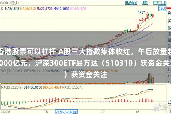 香港股票可以杠杆 A股三大指数集体收红，午后放量超2000亿元，沪深300ETF易方达（510310）获资金关注