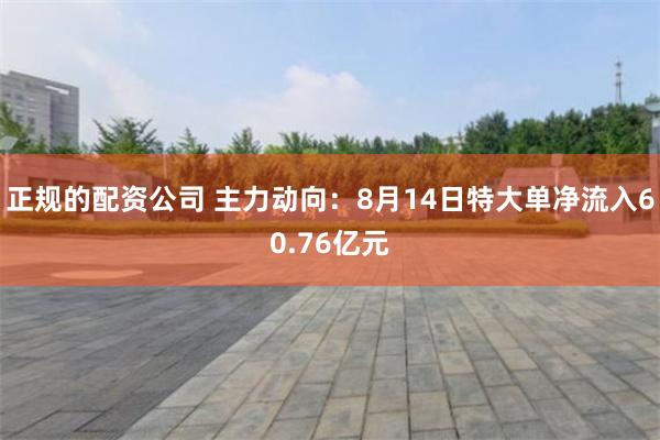 正规的配资公司 主力动向：8月14日特大单净流入60.76亿元