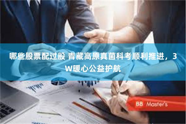 哪些股票配过股 青藏高原真菌科考顺利推进，3W暖心公益护航