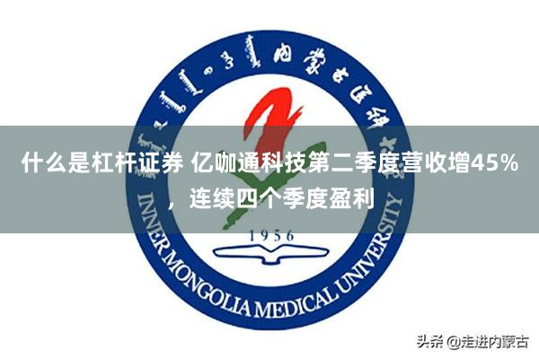 什么是杠杆证券 亿咖通科技第二季度营收增45%，连续四个季度盈利