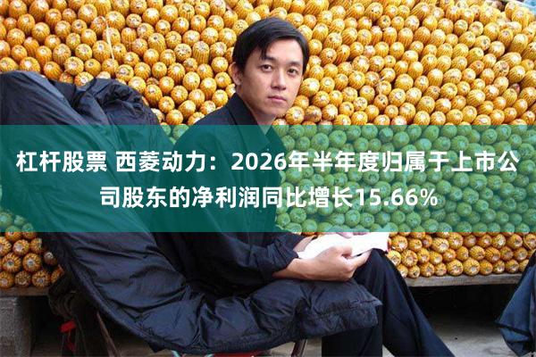 杠杆股票 西菱动力：2026年半年度归属于上市公司股东的净利润同比增长15.66%