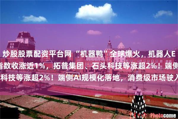 炒股股票配资平台网 “机器鸭”全球爆火,机器人ETF汇添富(159213)指数收涨近1%,拓普集团、石头科技等涨超2%!端侧AI规模化落地,消费级市场驶入快车道?