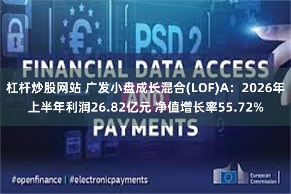 杠杆炒股网站 广发小盘成长混合(LOF)A：2026年上半年利润26.82亿元 净值增长率55.72%