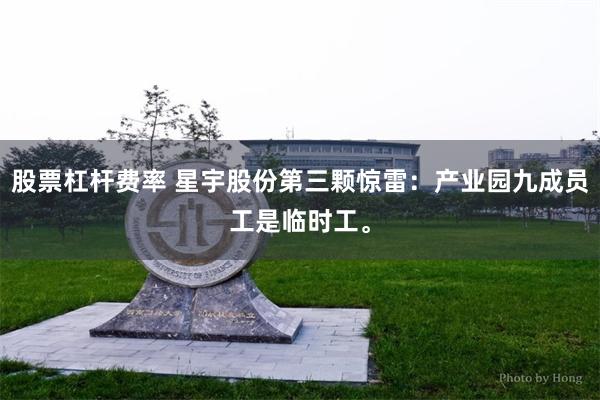 股票杠杆费率 星宇股份第三颗惊雷：产业园九成员工是临时工。